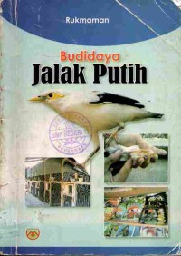 Image of Budidaya Jalak Putih